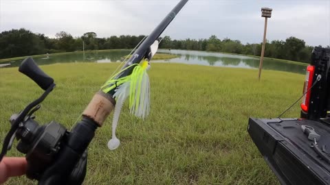 Draining the Prawn Pond! (Big Surprise)