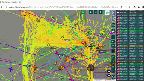 Bird Mafia Data for Feb 19th 2024 - 6pm report -