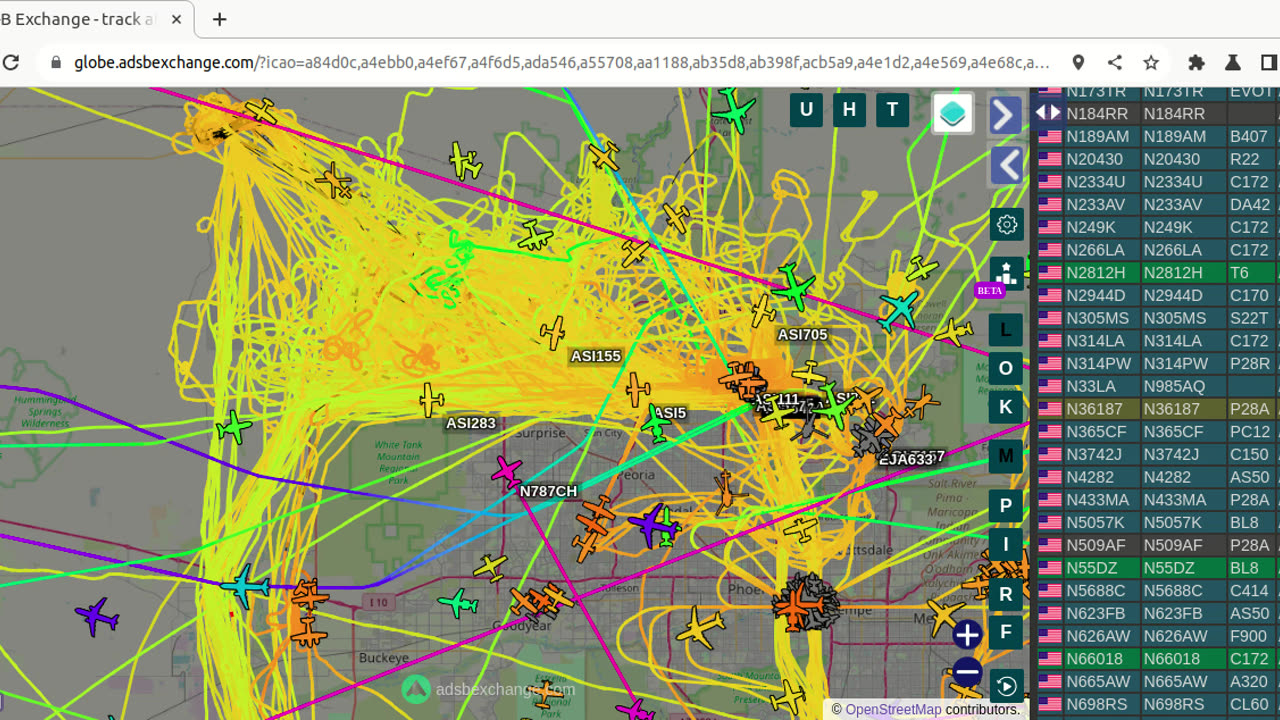 Bird Mafia Data for Feb 19th 2024 - 6pm report -