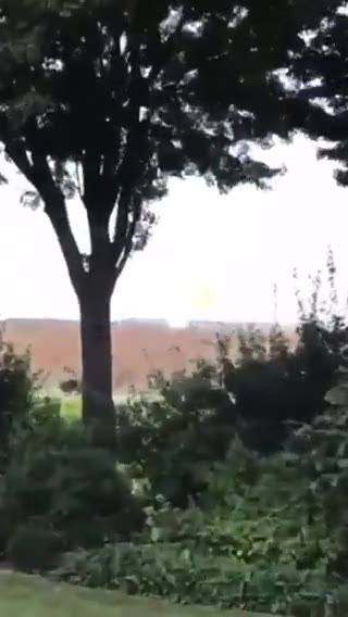 And yet another "coincidence" in Flevoland, Netherlands.