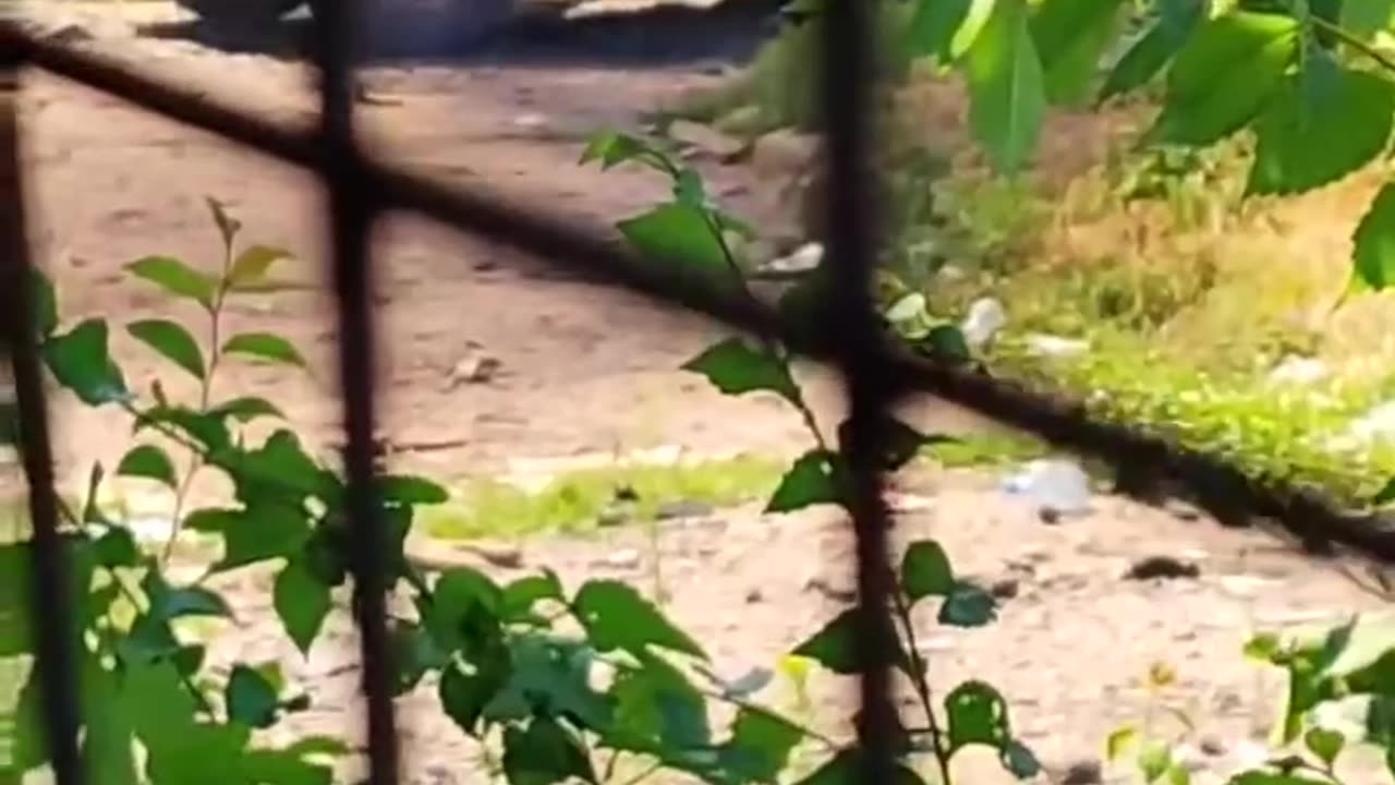 Destroyed BMP-1 and an AFU vehicle in the village of Vodyanoye, Avdiivka direction.