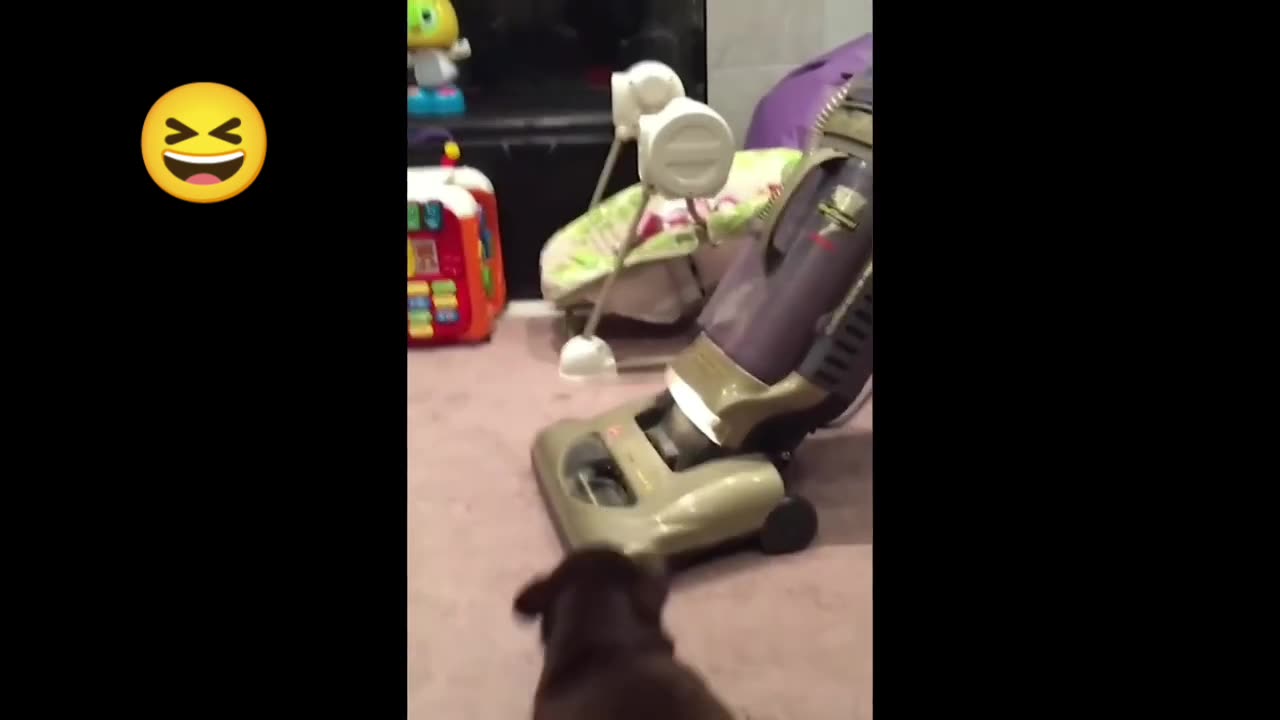 Funny cat 🤣🤣