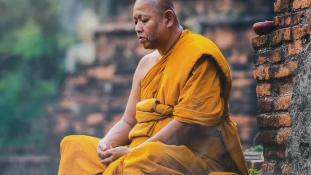 the most viewed monk in the world