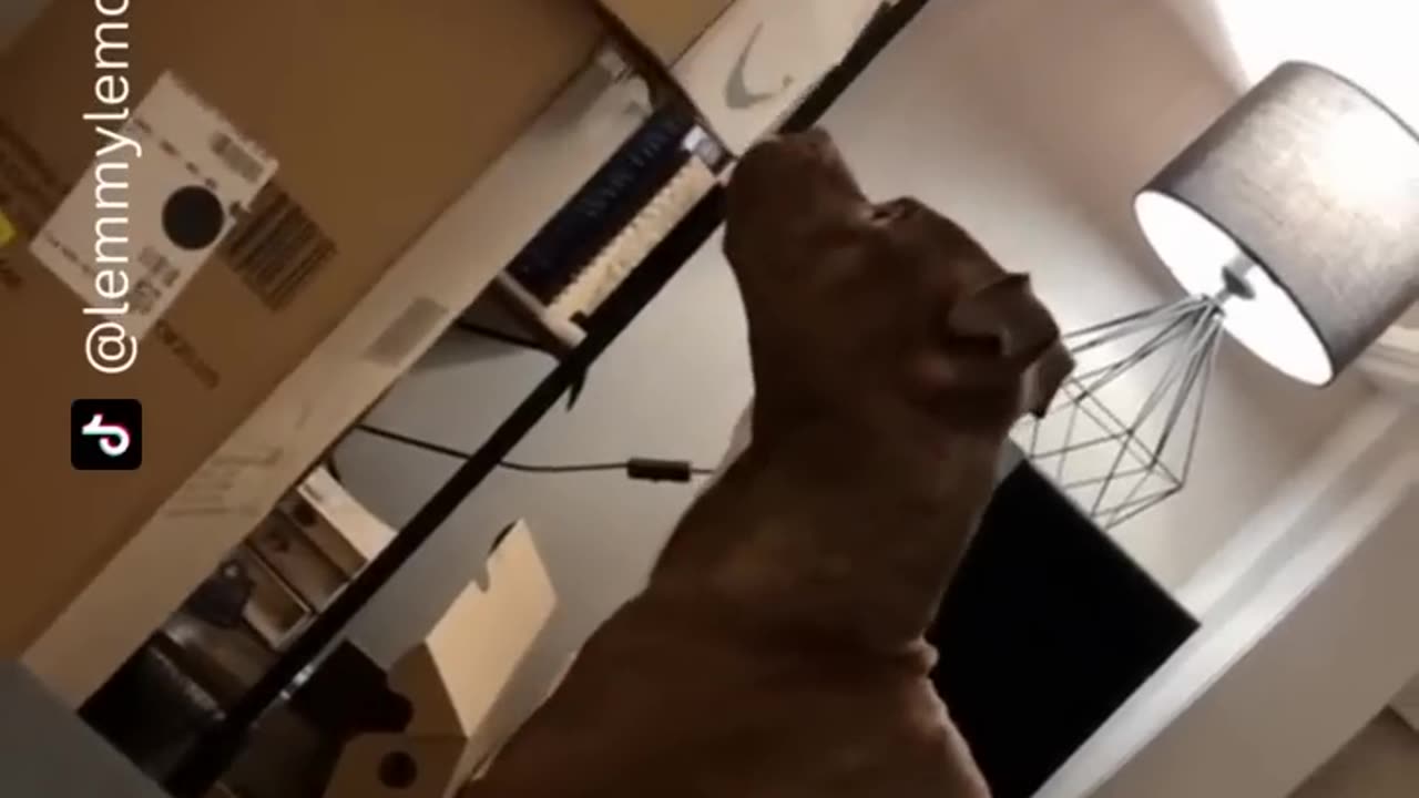 At the end🤣