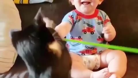 Babies and Fur Babies: A Match Made in Heaven