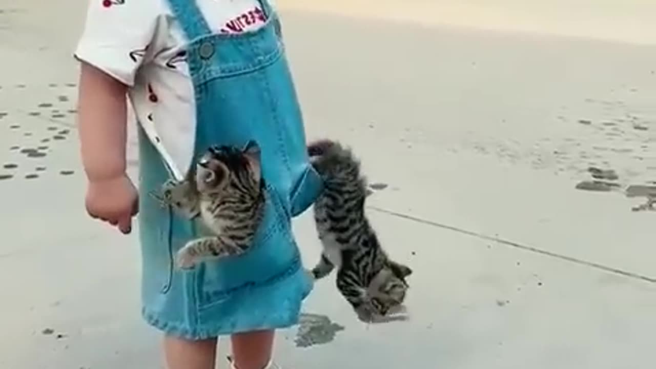 Cute baby and cat