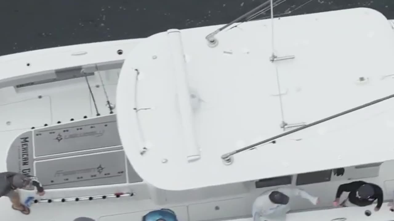 Offshore Oil Rig Fishing in Venice, LA | Suzuki Marine USA