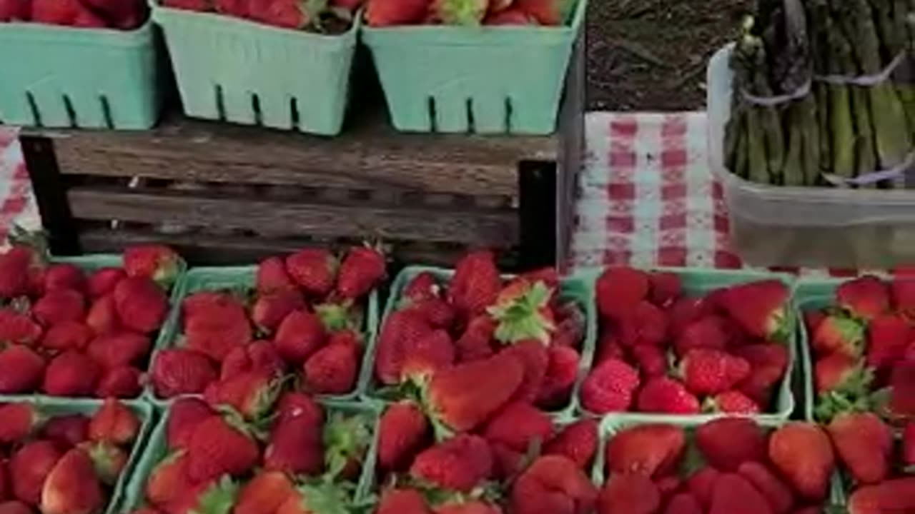 1st Farmers Market of 2023!!!