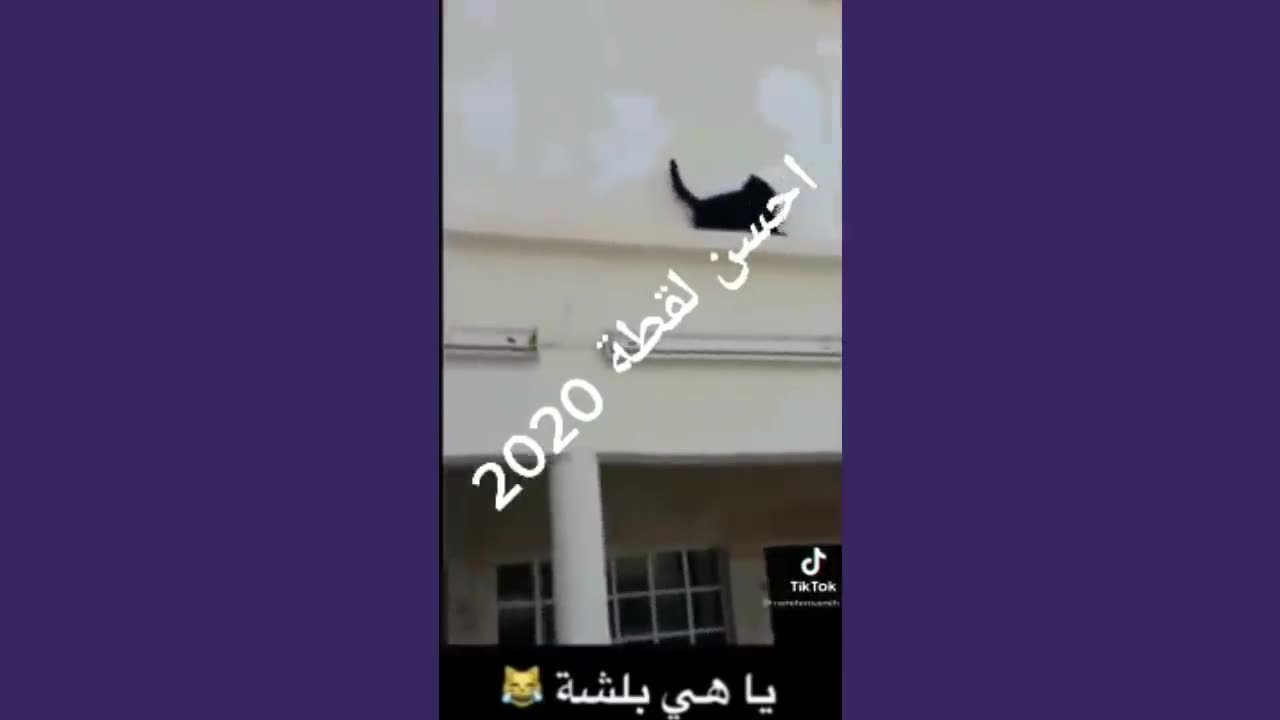 حمار قبيح ويركل صاحبه لقطات مضحكة ضحك حتا الموت حيوانات مضحكة