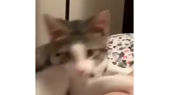 the way he was charging his attack up 😂