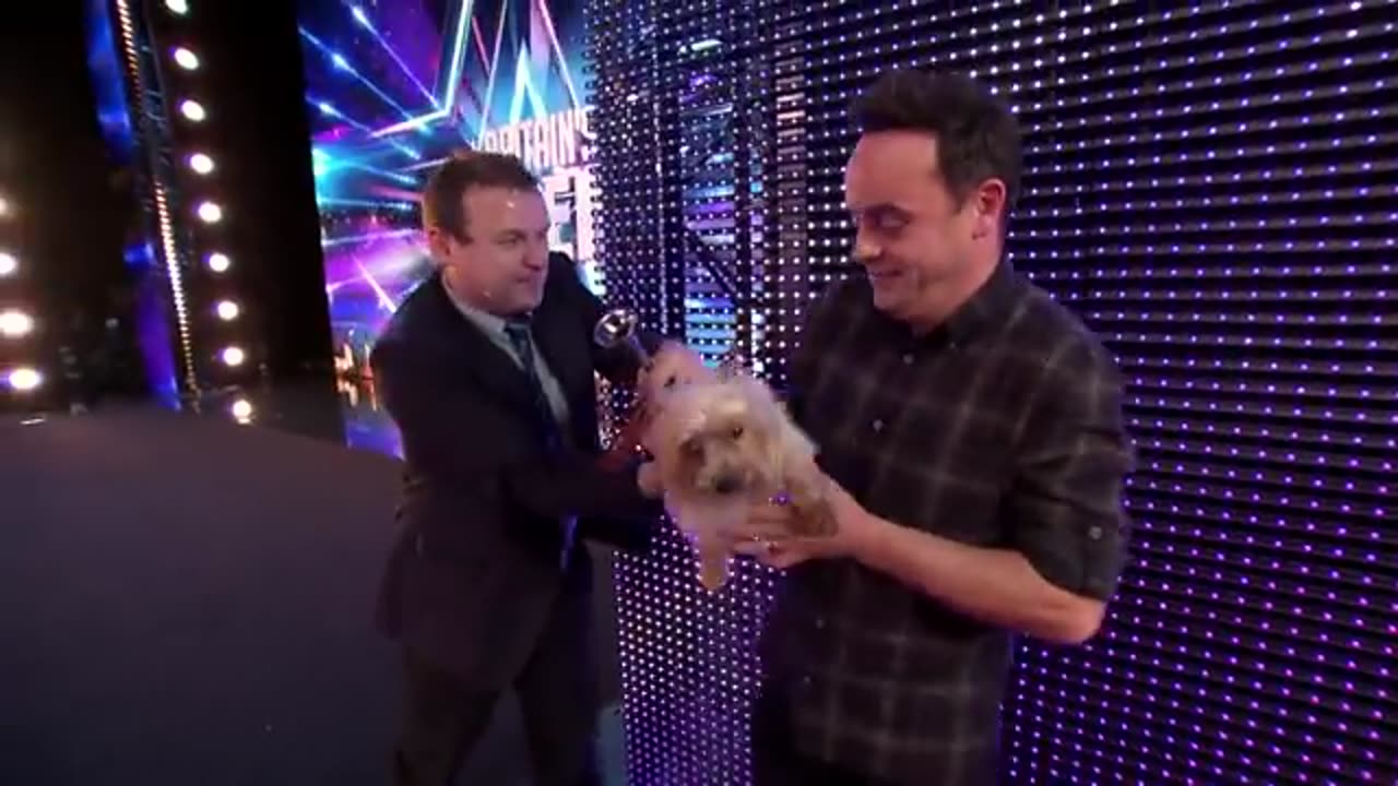 Dog chases Ant around the stage_ I Audition I BGT Series 9(360P