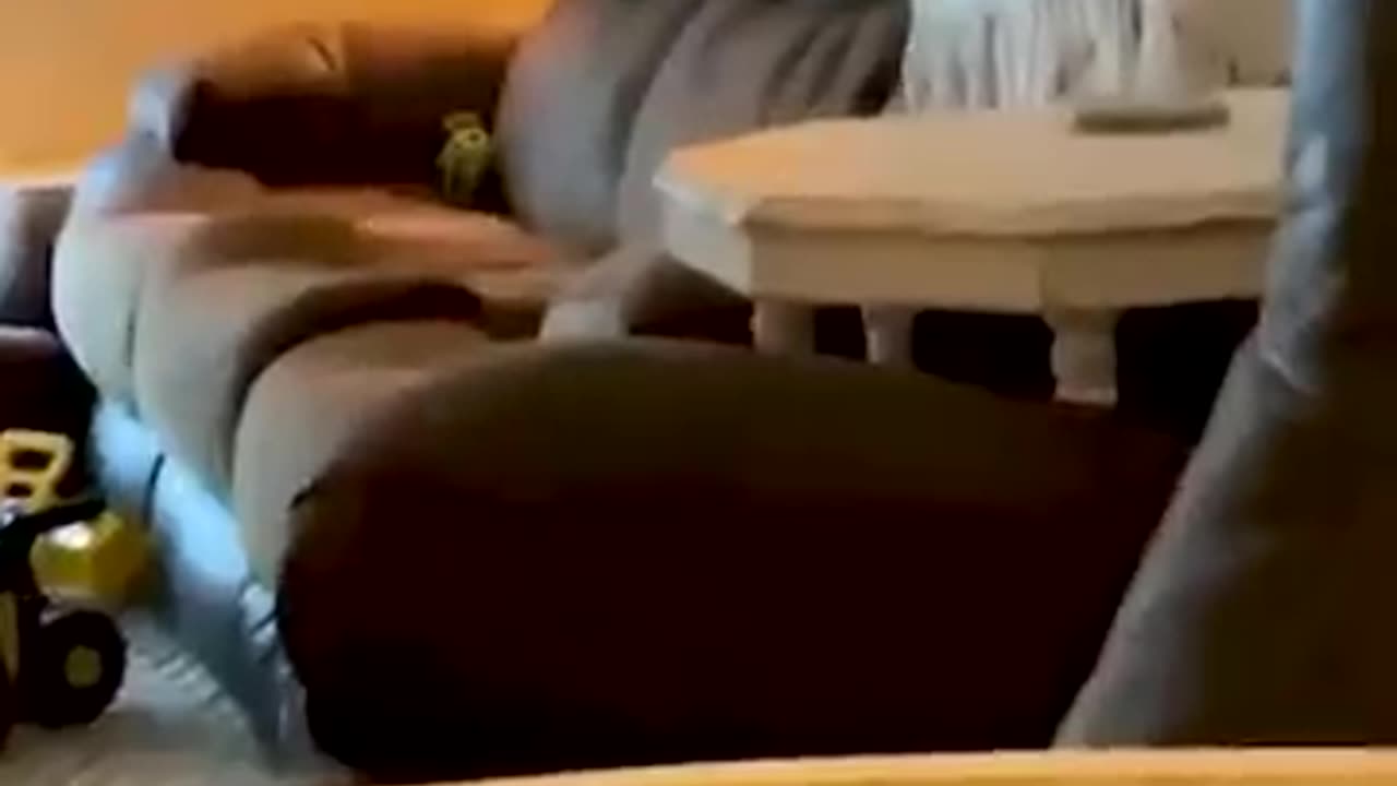 Very very nyc video