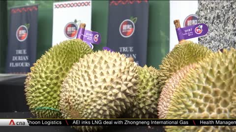 Malaysia can now export frozen whole durians to China