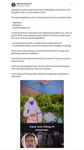 "BREAD", WHAT ARE THEY PUTTING IN IT?