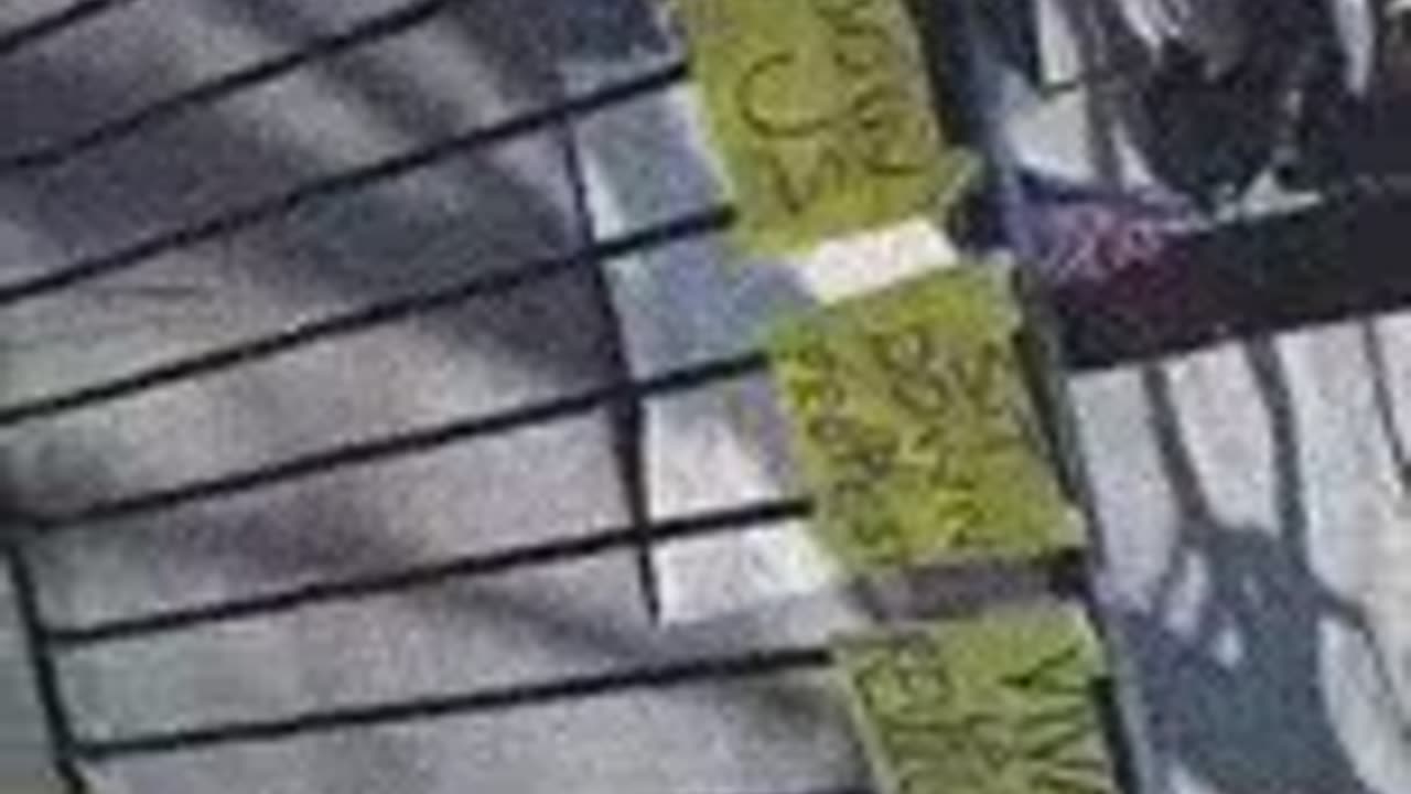 London protest continues