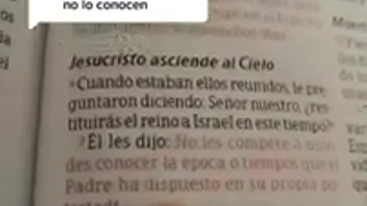 RESPONDIENDO A UN TICK TOCKERO