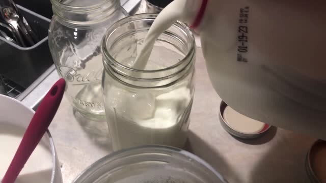 Kefir made from Kefir Grains