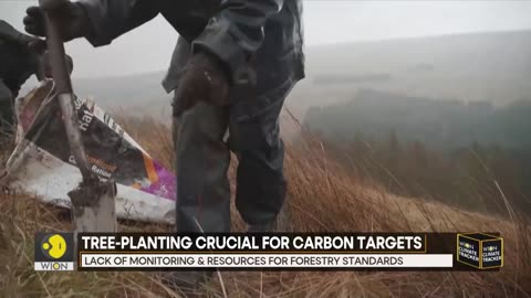 UK government failed to meet 50 % of its tree-planting targets