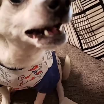 Why must you torment me like this always!!!! 🤣