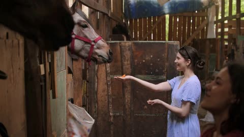 Two young women feeding horses in paddock