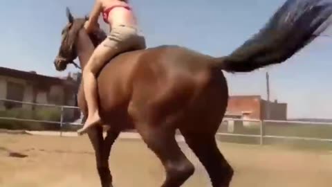 Intelligent horse