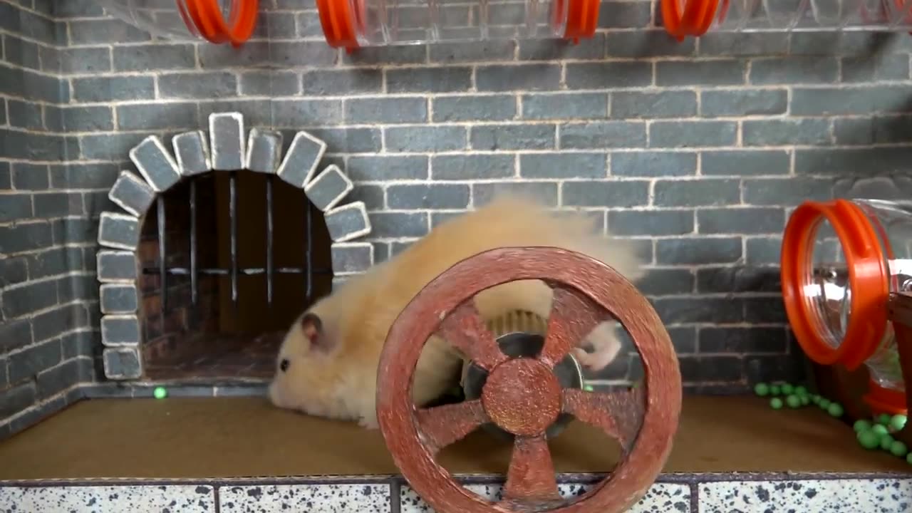 THE BEST HAMSTER CHALLENGES