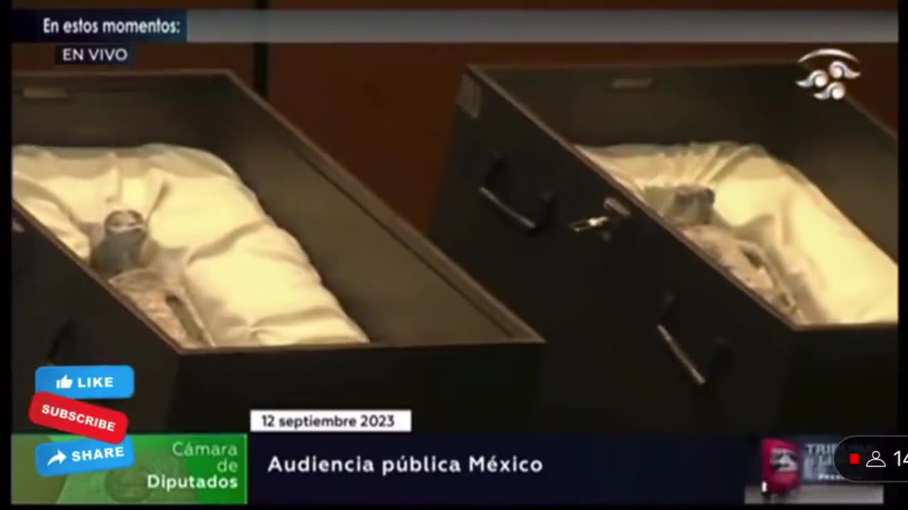 Two alleged non-human alien corpses were unveiled during a public hearing in Mexico's congress