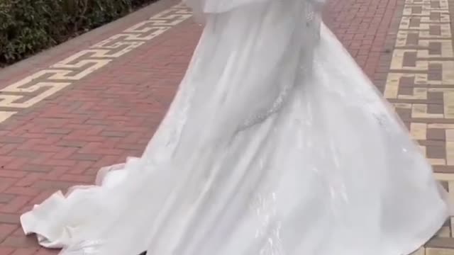 wannaattendkittysmarriage？#cat#funnycats#kitten#kitty#neko#funny#funnycat#funnyvideo