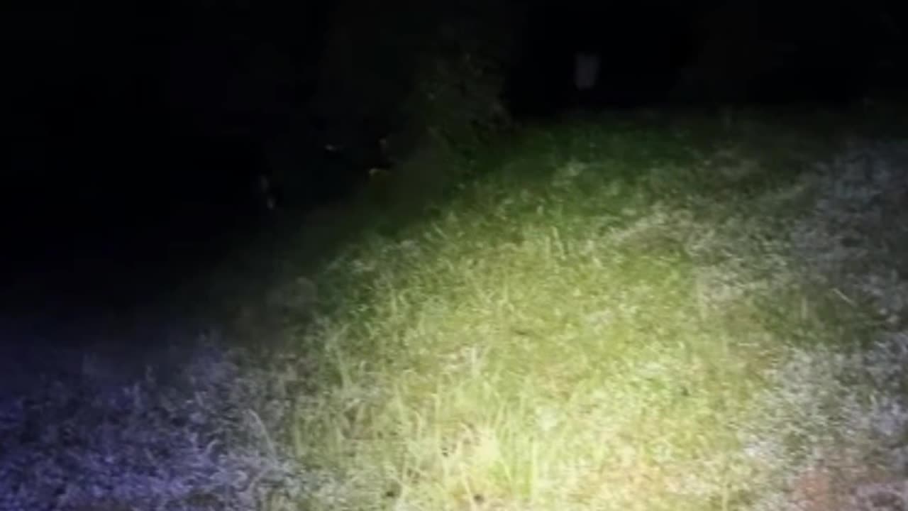 Ghost on camera paranormal activity part 139