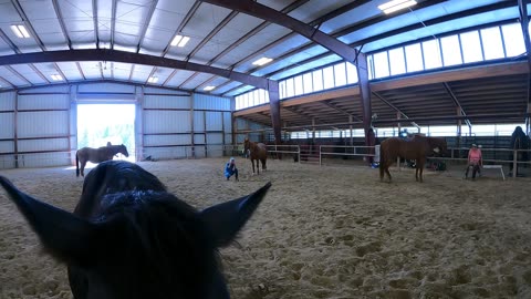 Farrah Horsemanship Clinic 2023 # 6