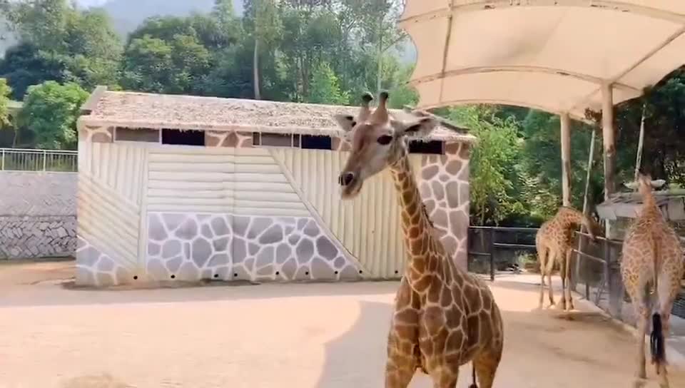 You look like a model