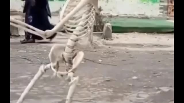 Someone who disobeyed his mother turned into a skeleton | Funny 😂😂