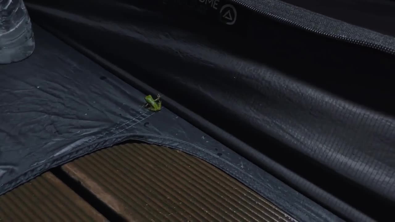Don't do anything. Enjoy the comfort of camping in the rain at night