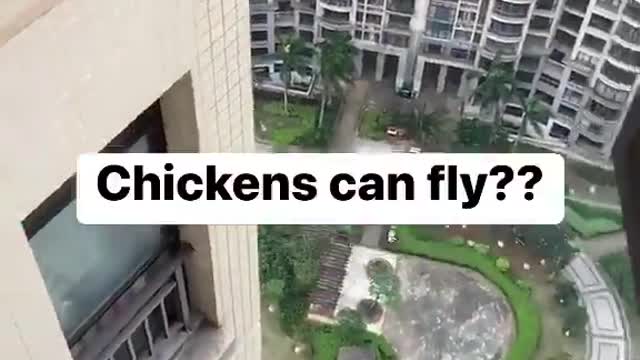 what?