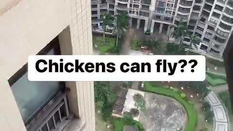 what?