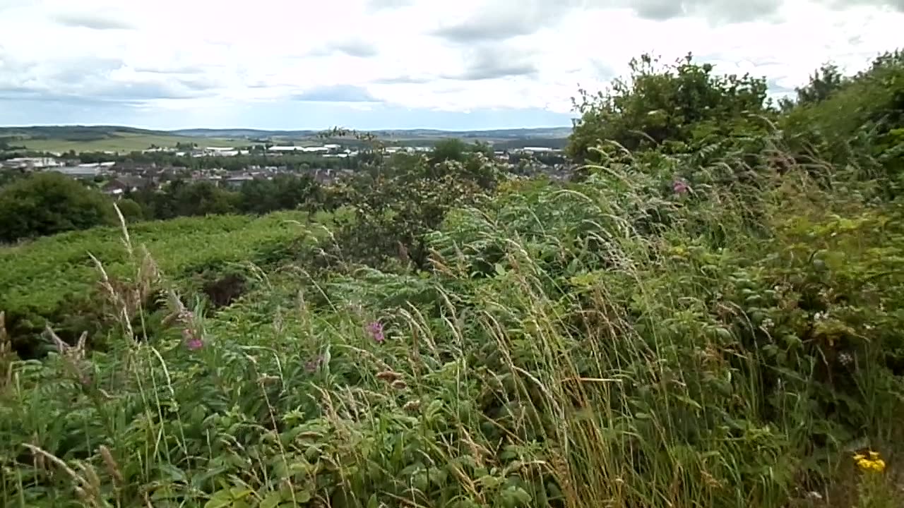 Strong security case for Britain remain in EU