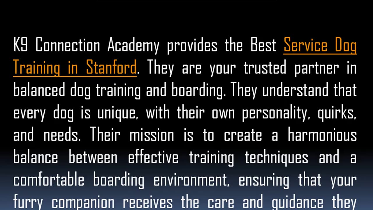 Best Puppy Training in Stanford