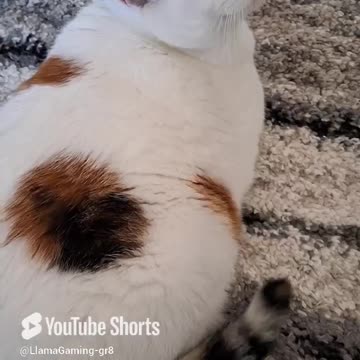 THOUGHT SHE WAS TIRED, I WAS WRONG