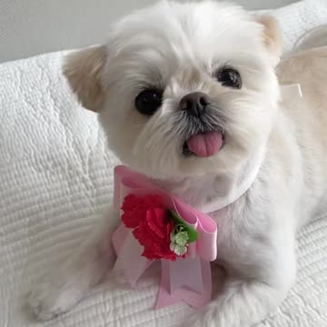 Soothing with our plum 💕