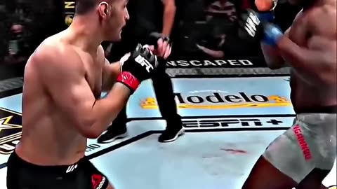 Best knockouts in ufc history 🔥