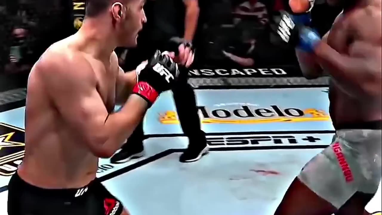 Best knockouts in ufc history 🔥