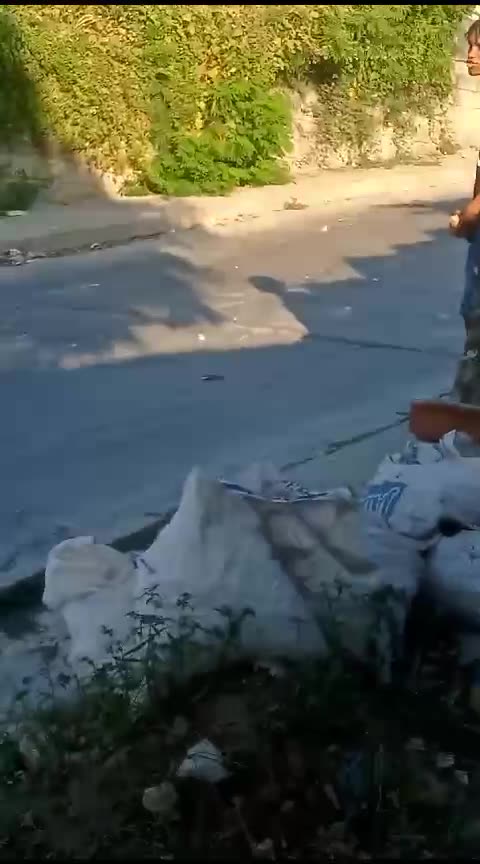 Pelea entre pandillas BQ