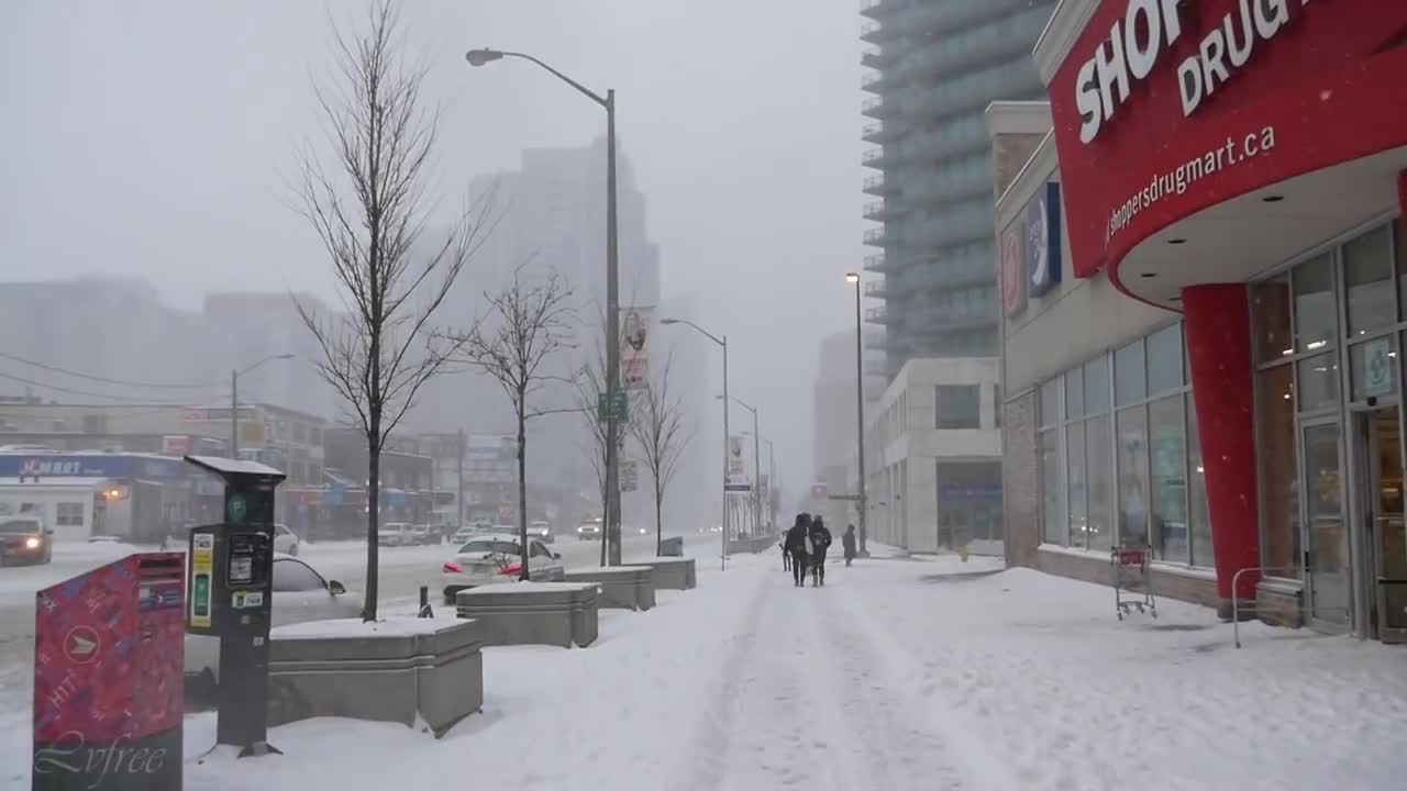 Winter Snow Storm in Toronto CANADA