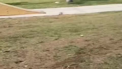 The end #viral #shorts #fails #funny -(1080p)