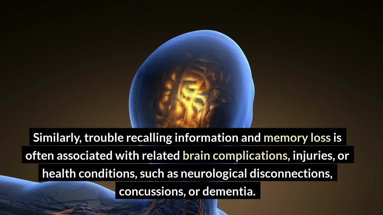 memory formation