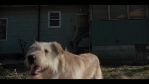 What happened to the Stranger Things dog#