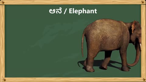 Animals in Kannada | Animal name sound in Kannada and English