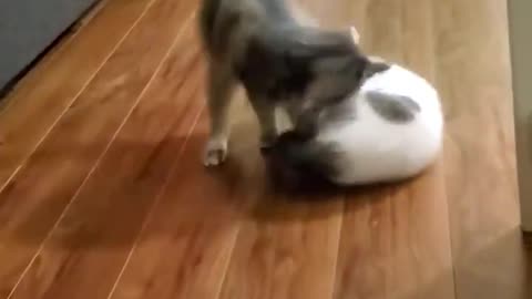 Got ya!