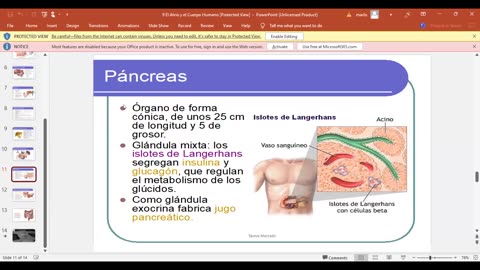 El Atrio y El Cuerpo Humano 10