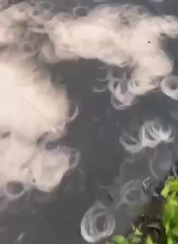 During the solar eclipse it was being reflected 😱